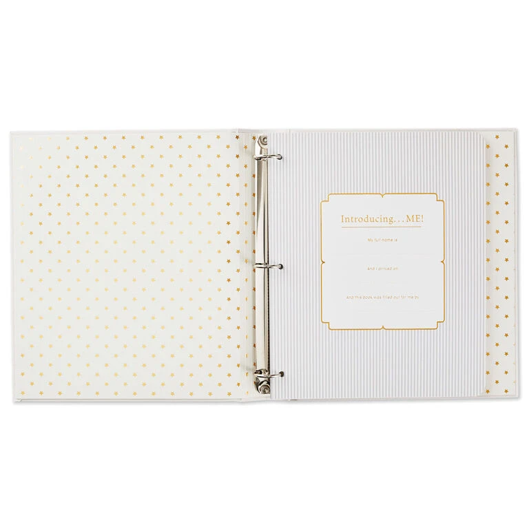 Hallmark Sweet Baby's First Five Years Baby Book - Image 2